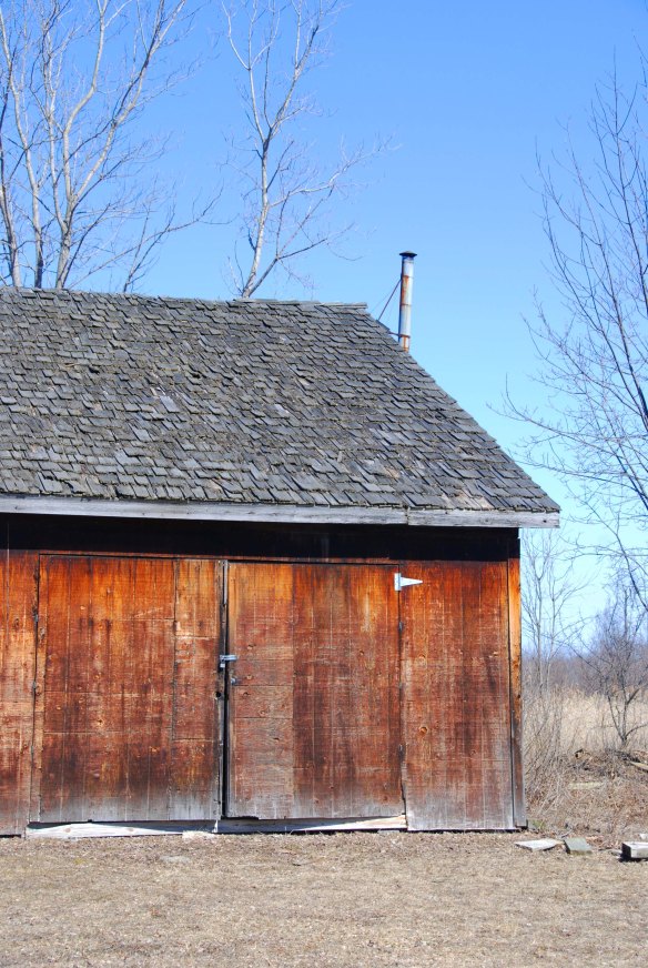 A barn by the Erie Canal in March. Soon the bare trees will be sporting leaves.